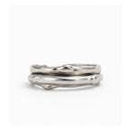 Tina couple of irregular renew vows ring